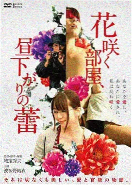 片单标本柜缩略示意，横向排列的标本卡片